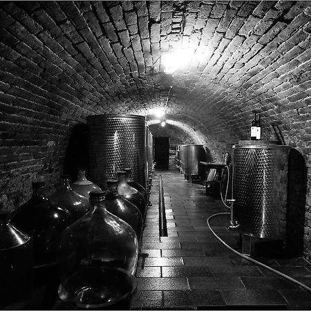 Apartment Zelezny Hrozen Valtice Luaran gambar